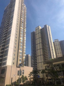 深圳坪山14栋花园小产权房，政府规划的回迁房，地铁16号线450米（在建）