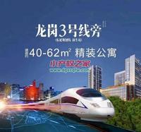 龙岗4栋花园小区房，地铁口步行6分钟，银行贷款分期10年