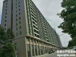 东莞东坑8栋大型村委小产权房新盘，分期3年发售！