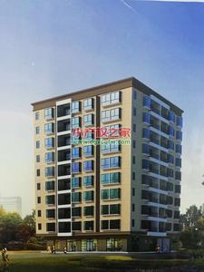 惠阳区淡水镇学区房，14号线地铁站500米，5分钟到天虹商场-小产权房《卓越君庭》