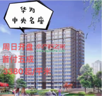 东莞松山湖两栋小产权房，未来R1号线地铁口物业，均价3380/平米起售